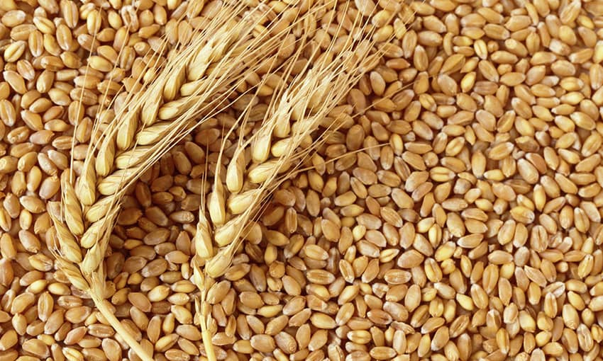 Customs clearance of wheat